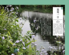 一日宜蘭人：親水樂農、依山傍海、舊城慢遊的理想生活 圖片 15