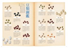 奶奶的傳家五榖香：九州百年榖物屋老鋪的米．豆．粉私房料理 圖片 4
