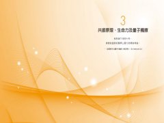 量子觸療2.0：解放你超乎想像的療癒能力 圖片 3