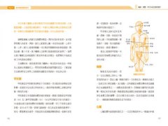 量子觸療2.0：解放你超乎想像的療癒能力 圖片 9
