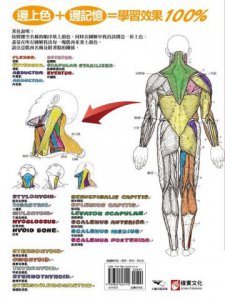 人體解剖著色學習手冊【附12色彩色鉛筆】：邊看邊畫邊學，為知識上色，更有趣、更輕鬆、更好記 圖片 4
