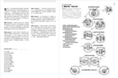 人體解剖著色學習手冊【附12色彩色鉛筆】：邊看邊畫邊學，為知識上色，更有趣、更輕鬆、更好記 圖片 10