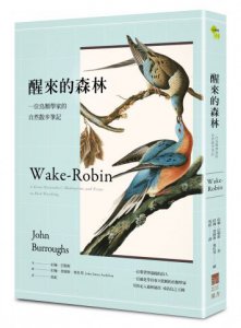 醒來的森林：一位鳥類學家的自然散步筆記 圖片 1