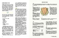 料理的科學〈精裝〉：50個圖解核心觀念說明，破解世上美味烹調秘密與技巧 圖片 13