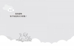 天堂沒有不快樂的毛小孩：55個真實故事，回覆你最牽掛的16個問題 圖片 2