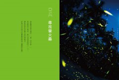 尋找螢火蟲 圖片 2