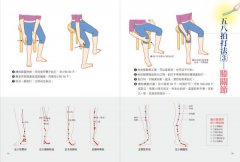 經絡拍打基本法：怎麼拍？拍哪裡？為什麼？ 圖片 4