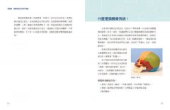 頭薦骨療法：頭薦骨放鬆了，身體就回到健康的初始設定 圖片 4