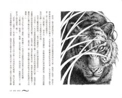 森林王子：毛哥力的叢林故事集 圖片 4