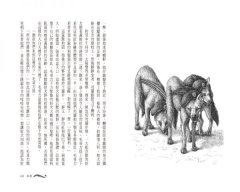 森林王子：毛哥力的叢林故事集 圖片 5
