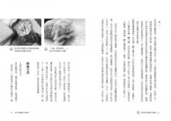 我是動物靈氣治療師：讓我用雙手來為你創造愛的奇蹟！ 圖片 5