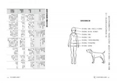 我是動物靈氣治療師：讓我用雙手來為你創造愛的奇蹟！ 圖片 8