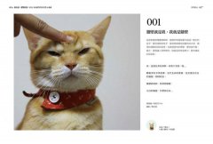 我有話，要對你說：來自108動物同伴的愛&療癒 圖片 3