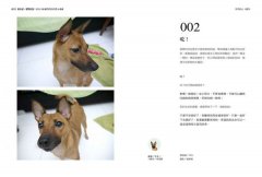 我有話，要對你說：來自108動物同伴的愛&療癒 圖片 4