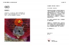 我有話，要對你說：來自108動物同伴的愛&療癒 圖片 7