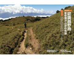 開始越野跑：挑戰山徑溪流，越野裝備與訓練一步到位 圖片 2