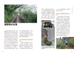 開始越野跑：挑戰山徑溪流，越野裝備與訓練一步到位 圖片 5