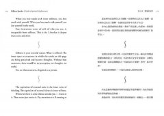 當下的覺醒（全新紀念版）：你到底是誰？啟動意識的更高層次 圖片 3