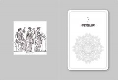 生日塔羅密碼書：一次看懂人格牌、靈魂牌、陰影牌、流年牌，認識你的天賦與使命！ 圖片 5