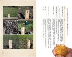 藏種於民：全球保種時代來臨！一顆種子，對抗極端氣候、基改風險，打造我們的永續餐桌 圖片 9