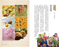 藏種於民：全球保種時代來臨！一顆種子，對抗極端氣候、基改風險，打造我們的永續餐桌 圖片 10