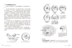 瘦孕、順產、讓寶寶吃贏在起跑點（增訂新版）：自然醫學營養治療師的懷孕生產育兒指南 圖片 3