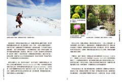 快樂至上，西班牙！：Ole！美食、節慶、藝術、建築、人情味，帶你全面上癮 圖片 8