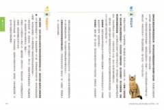 正念生活，從年輕到年老：每天一件事，全面滋養你的身、心、靈！ 圖片 4