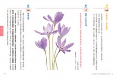 正念生活，從年輕到年老：每天一件事，全面滋養你的身、心、靈！ 圖片 7