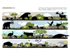 消失的動物：追尋多多鳥、猛獁象、袋狼的足跡，漫遊滅絕動物的紙上博物館（全彩圖文書） 圖片 9