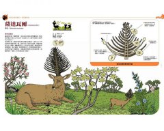 想像的動物：跟著獨角獸、獅鷲、麒麟、魔羯魚，走進傳說動物的紙上博覽會（全彩圖文書） 圖片 4