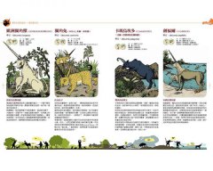 消失與想像的動物 【全彩視覺百科套書】 圖片 9