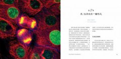 談死亡：知性的，理性的，感性的 圖片 3