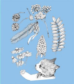 幻想博物館（Higuchi Yuko作品系列）：兩隻迷路貓遇見太古動物的化身冒險 圖片 5