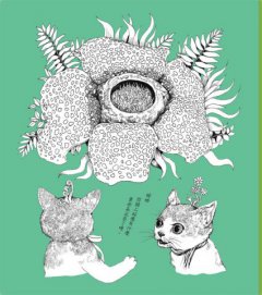 幻想博物館（Higuchi Yuko作品系列）：兩隻迷路貓遇見太古動物的化身冒險 圖片 6