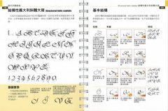 花體字聖經：從圖拉真字母、哥德體到新藝術體，100種貫穿古今的藝術字體完全剖析，詳細解說書寫步驟、字形特徵，掌握經典歐文書法的魅力 圖片 8