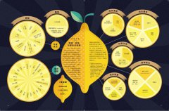 看得見的滋味：INFOGRAPHIC！世界最受歡迎美食的故事、數據與視覺資訊圖表──老饕必懂的食材與美食歷史、文化、食譜、料理技巧、最新潮流── 圖片 6
