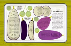 看得見的滋味：INFOGRAPHIC！世界最受歡迎美食的故事、數據與視覺資訊圖表──老饕必懂的食材與美食歷史、文化、食譜、料理技巧、最新潮流── 圖片 7