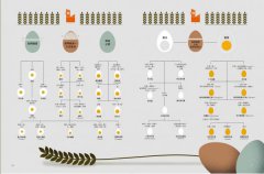 看得見的滋味：INFOGRAPHIC！世界最受歡迎美食的故事、數據與視覺資訊圖表──老饕必懂的食材與美食歷史、文化、食譜、料理技巧、最新潮流── 圖片 9
