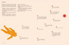 丈量宇宙：INFOGRAPHIC！一眼秒懂全宇宙！100幅視覺資訊圖表，穿梭140億年星際太空 圖片 3