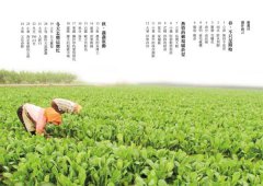 農村，你好嗎？：寫在農村的24則鄉野求生筆記 圖片 4