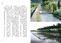 農村，你好嗎？：寫在農村的24則鄉野求生筆記 圖片 8