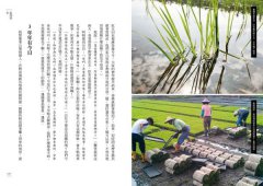 農村，你好嗎？：寫在農村的24則鄉野求生筆記 圖片 14