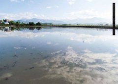 農村，你好嗎？：寫在農村的24則鄉野求生筆記 圖片 16