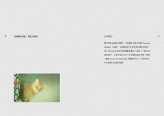 殺死小甜甜：勉強，有礙健康 圖片 7