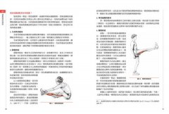 痠痛拉筋解剖書2：運動傷害復健書 圖片 5