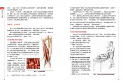 痠痛拉筋解剖書2：運動傷害復健書 圖片 6