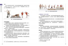 痠痛拉筋解剖書2：運動傷害復健書 圖片 8