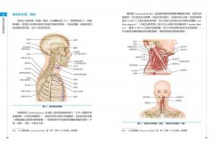 痠痛拉筋解剖書2：運動傷害復健書 圖片 9