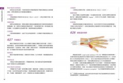 痠痛拉筋解剖書2：運動傷害復健書 圖片 11